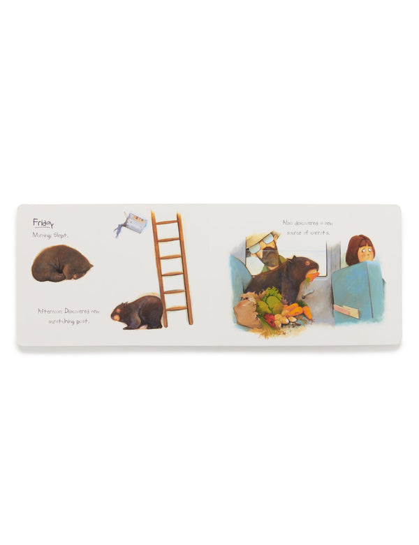 Diary of a Wombat - Multi Coloured