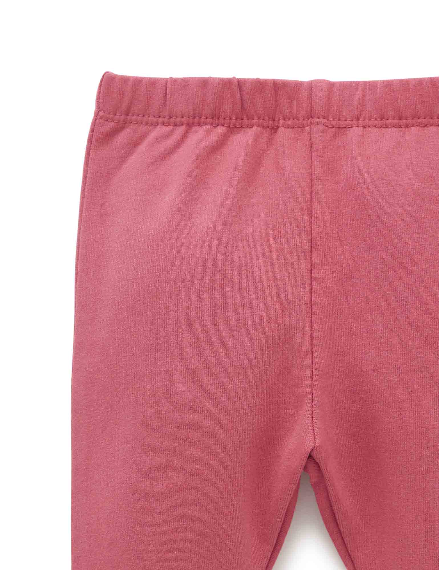 Thick Leggings  - Raspberry