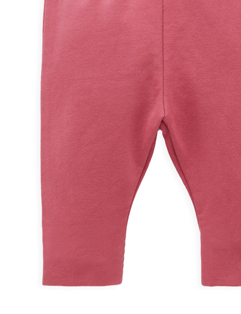Thick Leggings  - Raspberry