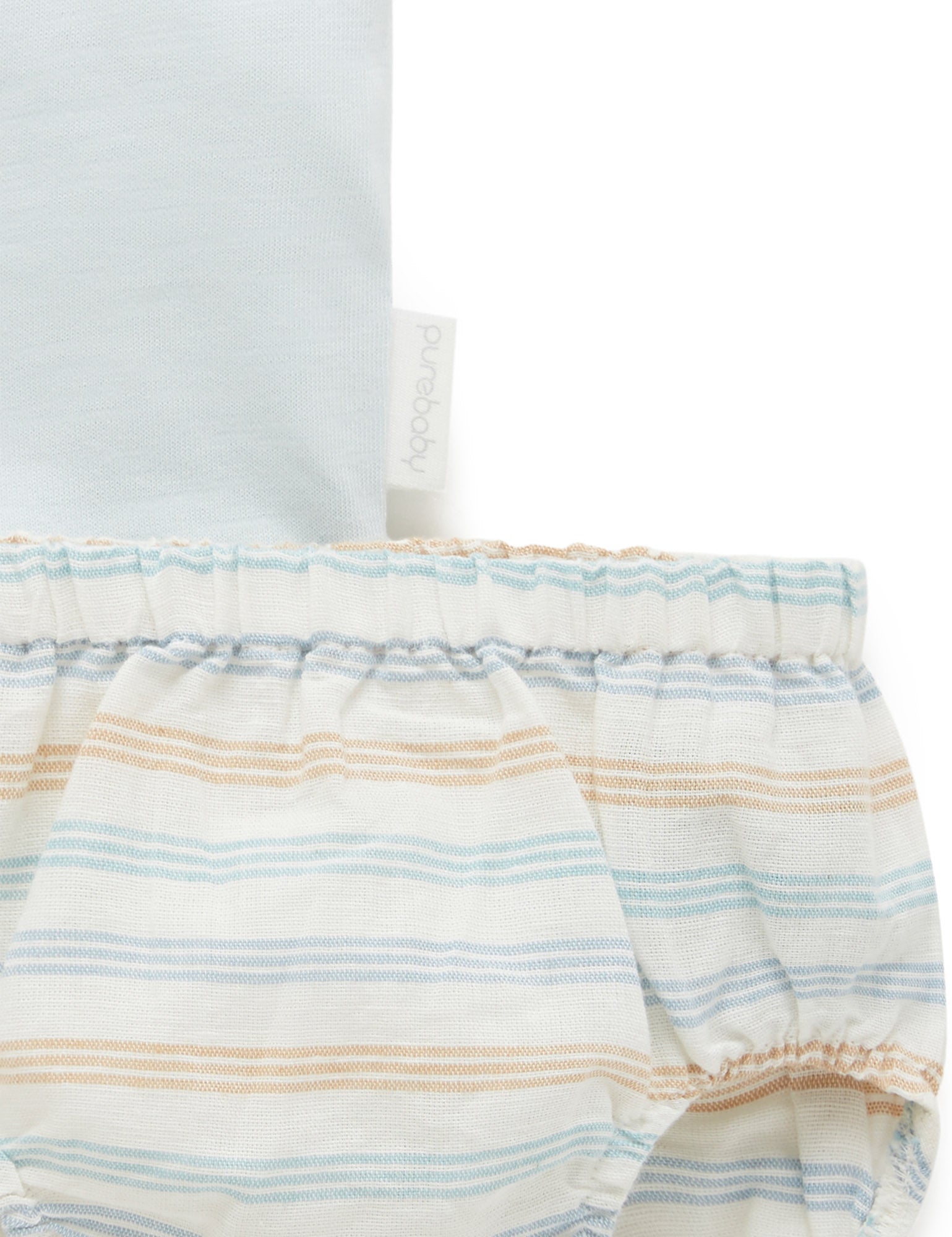 Jelly Fish Set - Rock Pool Stripe