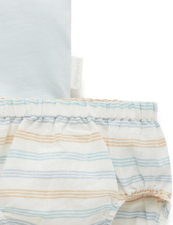 Jelly Fish Set - Rock Pool Stripe