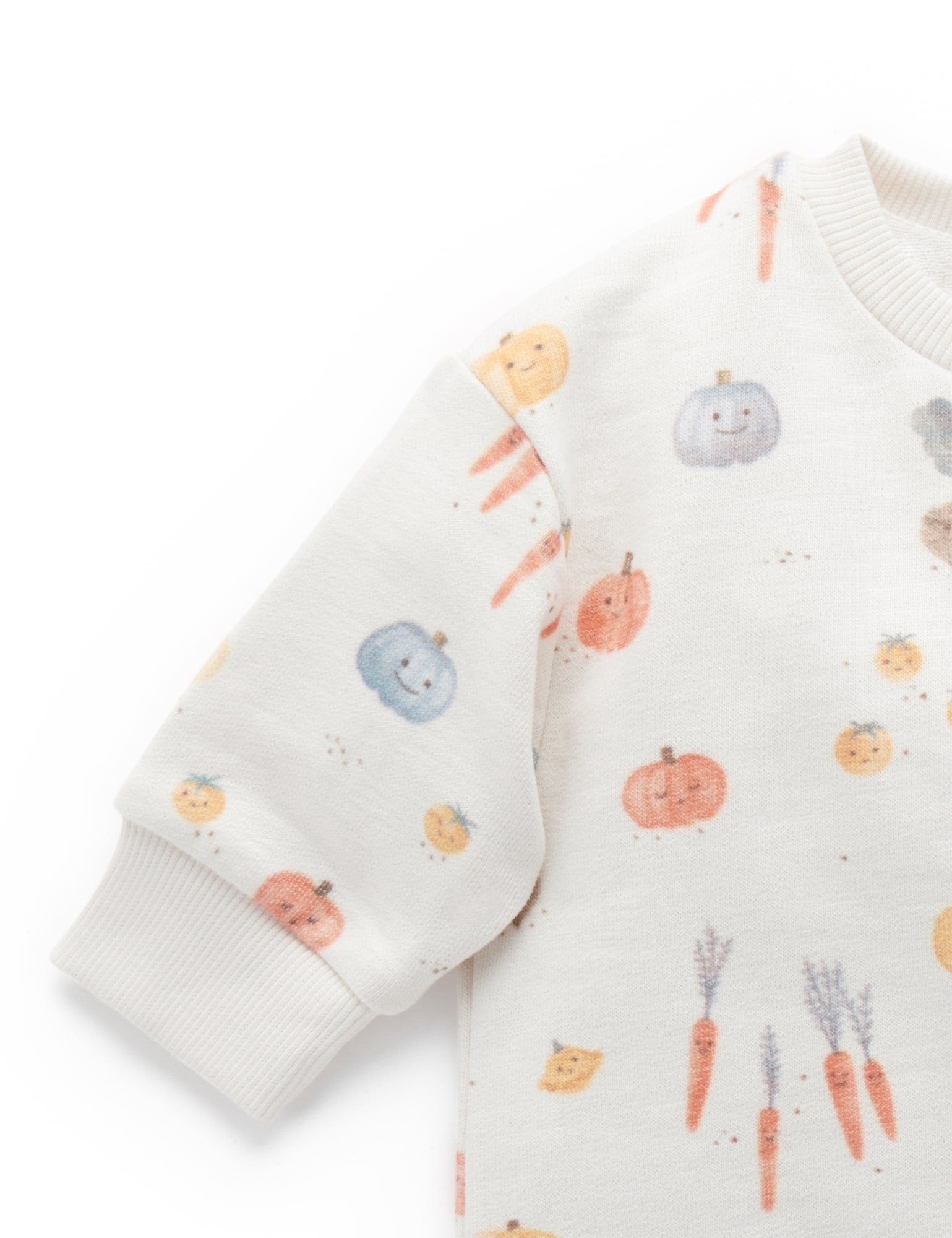 Slouchy Windcheater - Winter Veggie Print