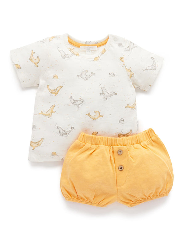 Seal Set - Splash Print