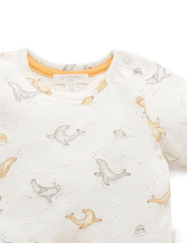 Seal Set - Splash Print