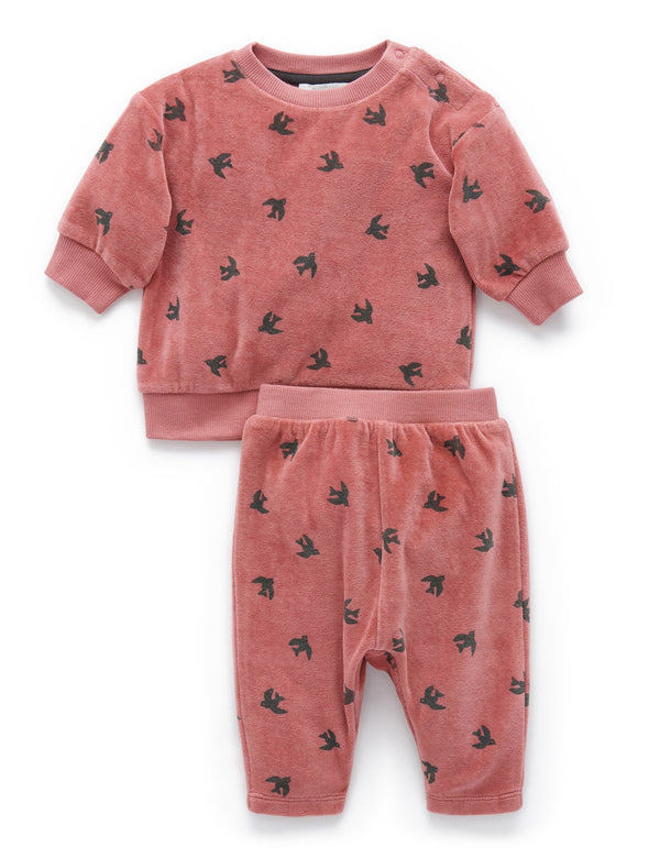 Velour Track Set - Swallow Print