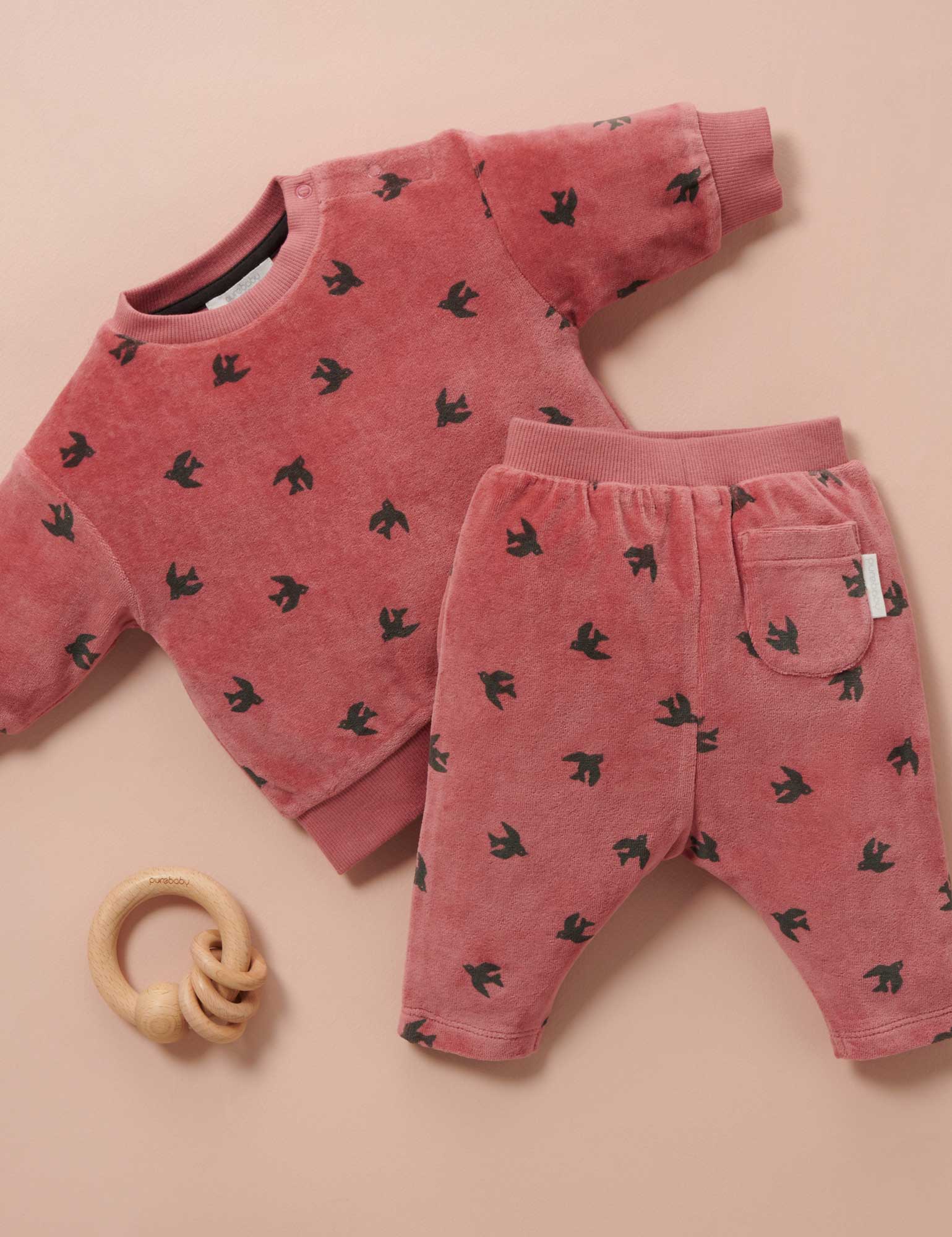 Velour Track Set - Swallow Print