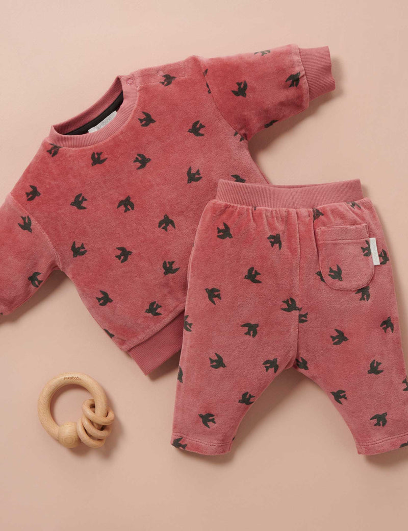 Velour Track Set - Swallow Print
