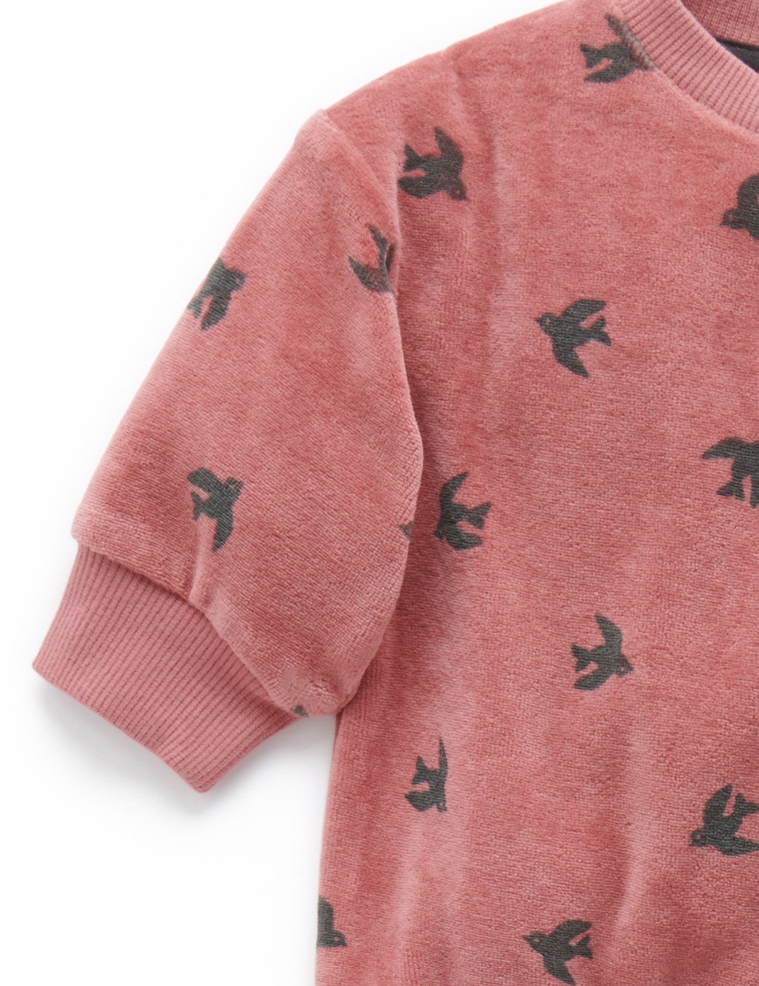 Velour Track Set - Swallow Print