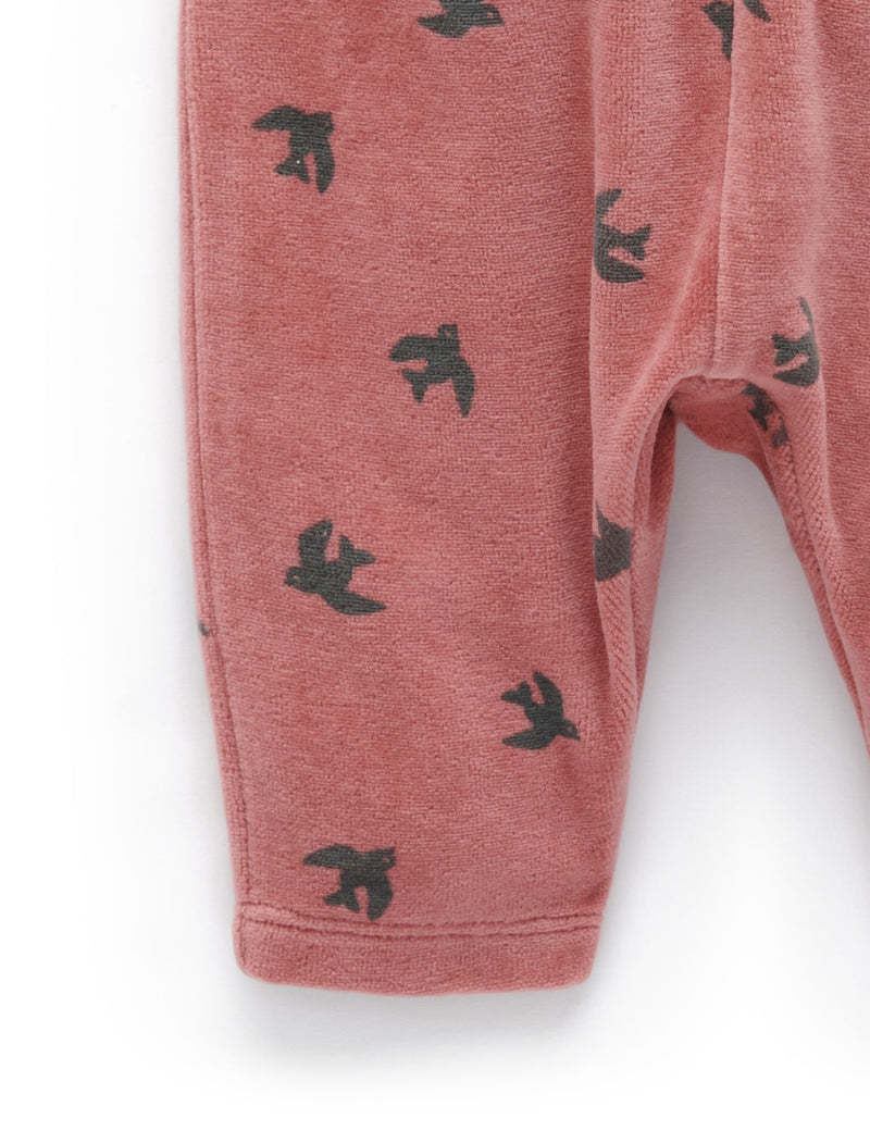 Velour Track Set - Swallow Print