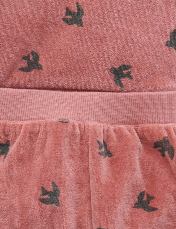 Velour Track Set - Swallow Print