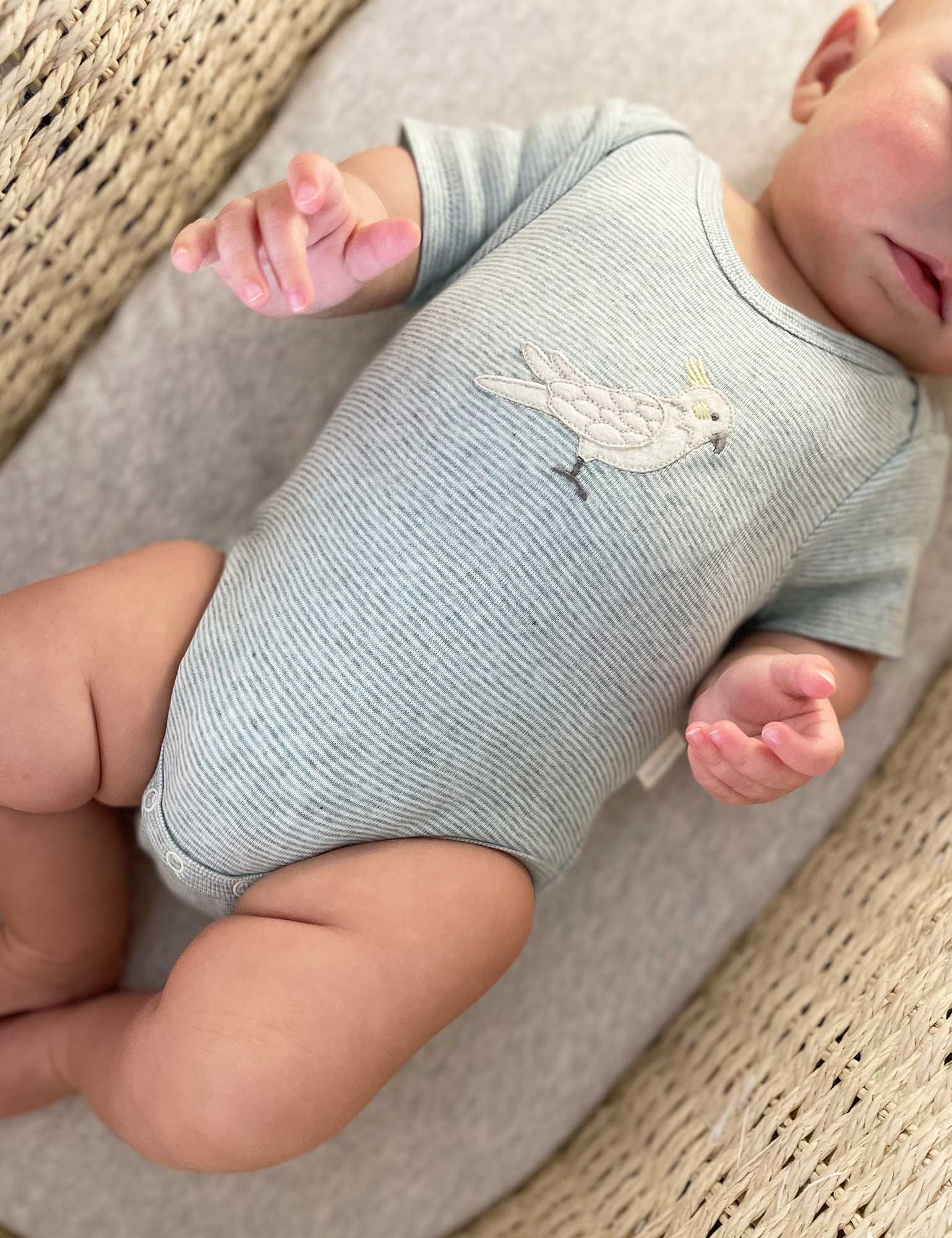 SS Easyneck Bodysuit - Fern Stripe Cockatoo