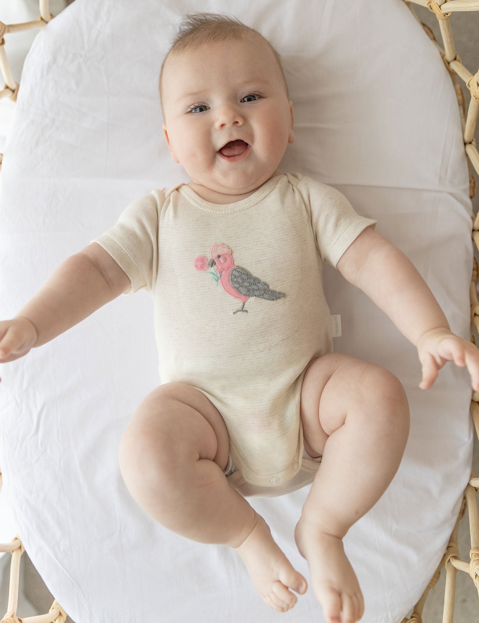 SS Easyneck Bodysuit - Wheat Stripe Galah