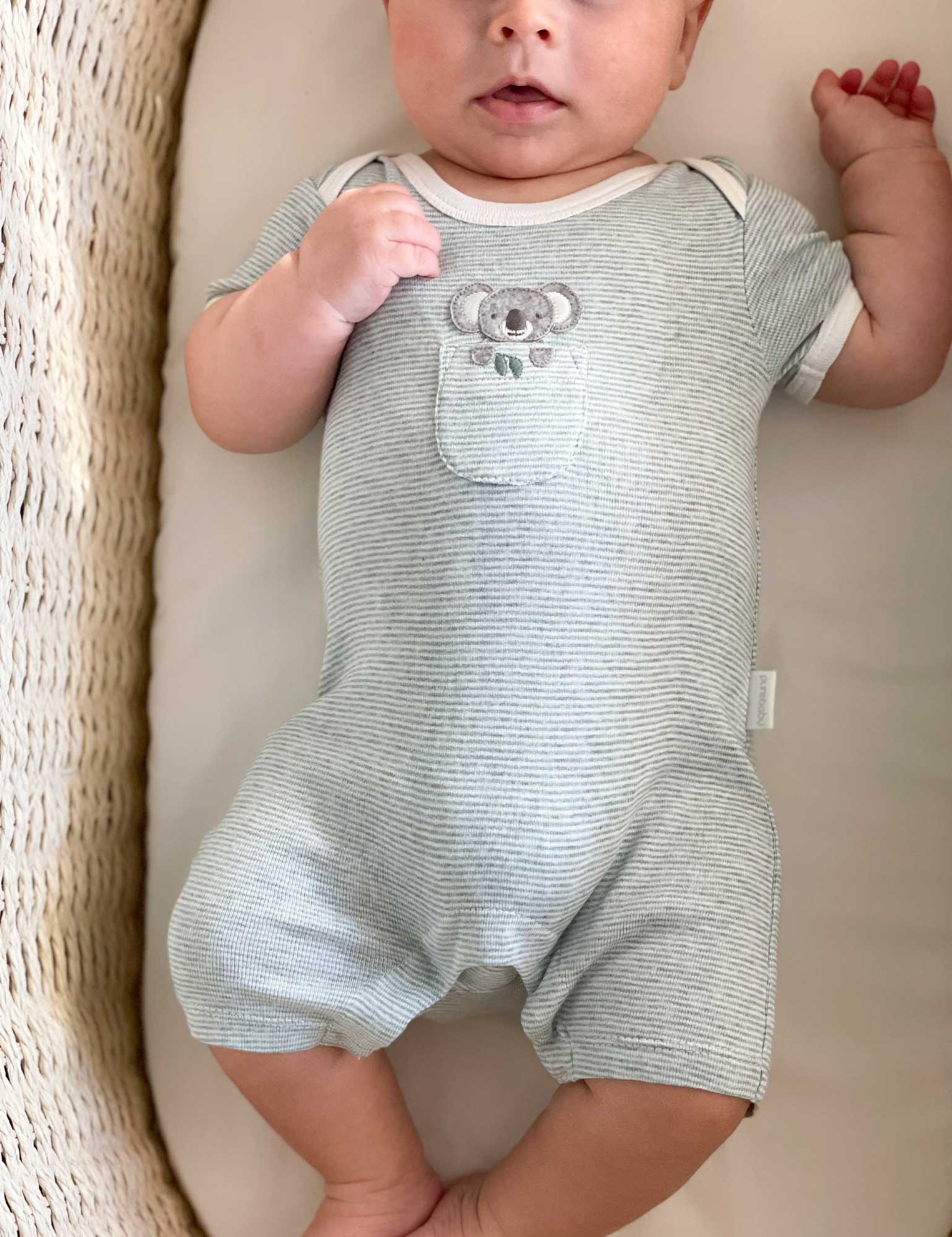 Peekaboo Short Growsuit - Fern Stripe Koala