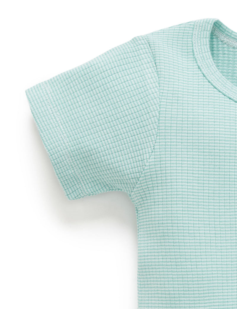 Rib S/Slv Bodysuit - Aquamarine Stripe