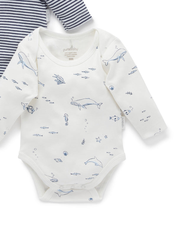 Easy Neck L/S Bodysuit 2 pack - Vanilla Nautical Pack